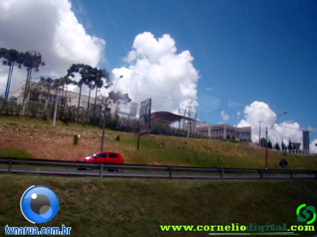DSC04764.jpg