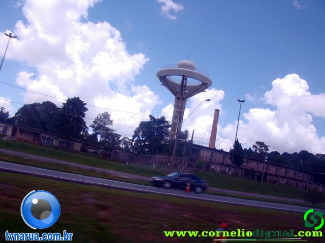 DSC04771.jpg