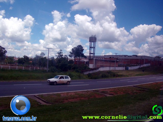 DSC04778.jpg