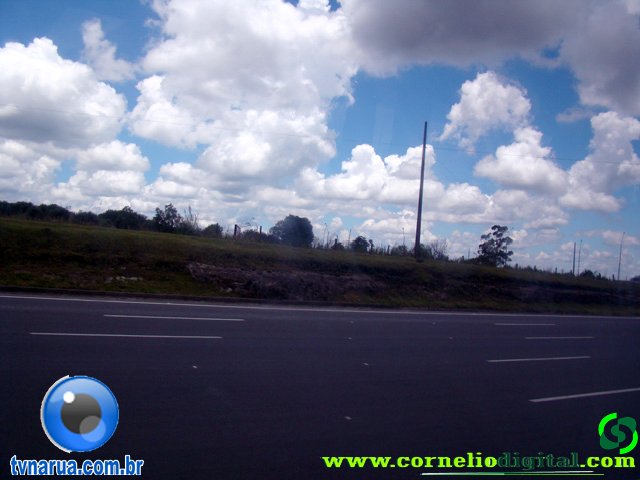 DSC04798.jpg