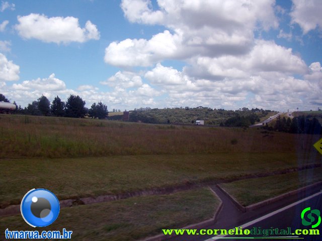 DSC04800.jpg