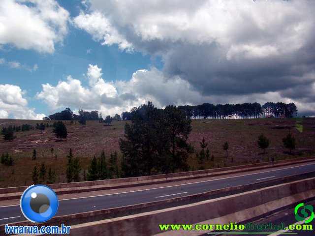 DSC04804.jpg