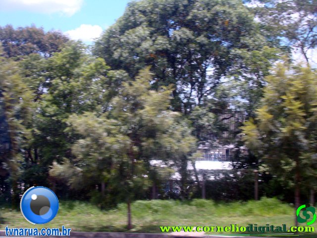 DSC04830.jpg