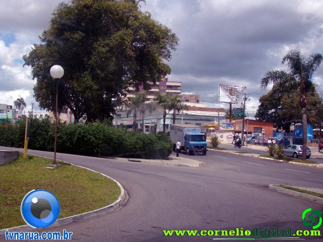DSC04832.jpg