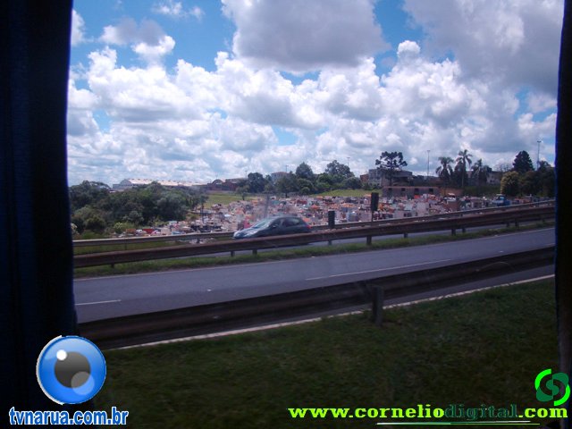 DSC04846.jpg