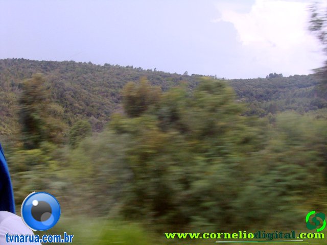 DSC04861.jpg