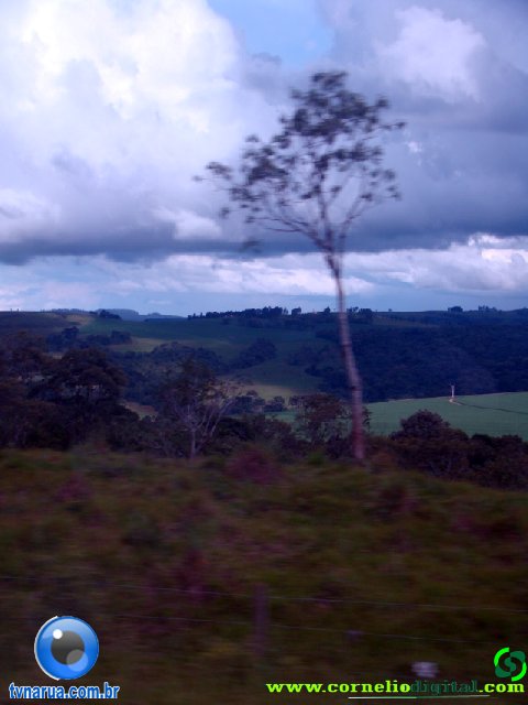 DSC04918.jpg