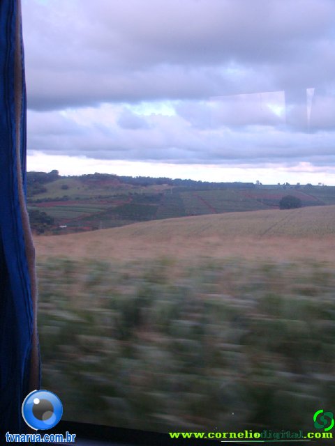 DSC04934.jpg