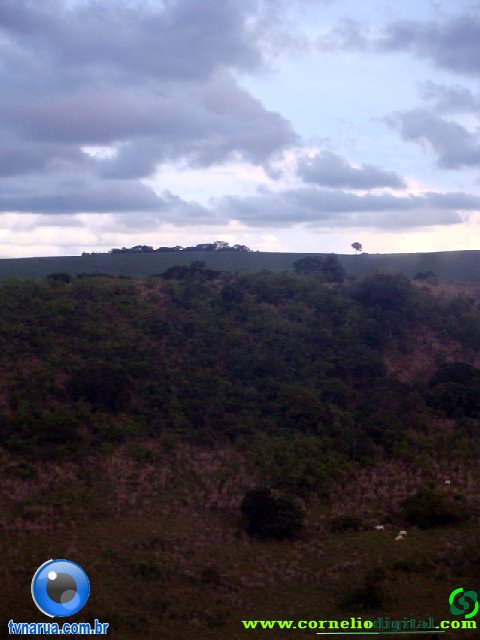 DSC04940.jpg