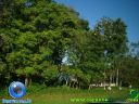 DSC04494.jpg