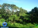 DSC04560.jpg