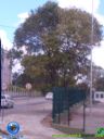 DSC04638.jpg