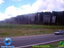DSC04814.jpg