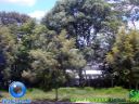 DSC04830.jpg