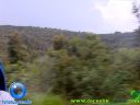 DSC04861.jpg