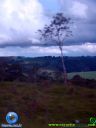 DSC04918.jpg
