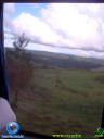 DSC04920.jpg