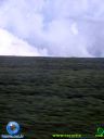 DSC04924.jpg