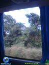 DSC04932.jpg