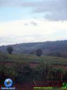 DSC04936.jpg