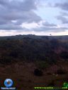 DSC04940.jpg