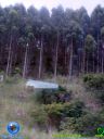 DSC04944.jpg