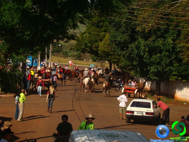 DSC03527.jpg