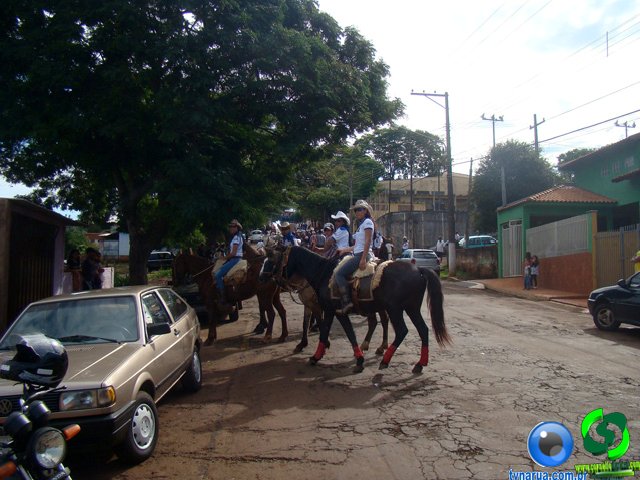 DSC03564.jpg