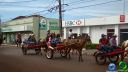 DSC03597.jpg
