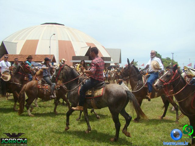 DSC04782.jpg