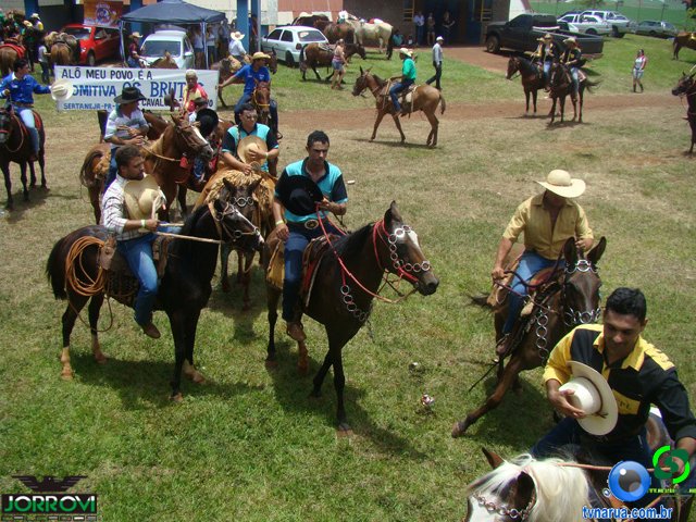 DSC04814.jpg