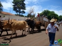 DSC04496.jpg