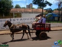 DSC04530.jpg