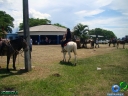 DSC04906.jpg