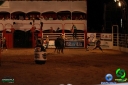 DSC01575.jpg