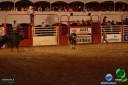DSC01645.jpg