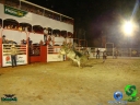 DSC05227.jpg
