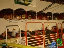 DSC05233.jpg