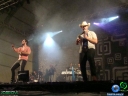 DSC06411.jpg