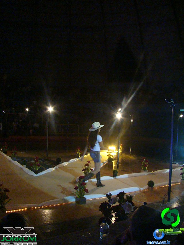 DSC00821.jpg