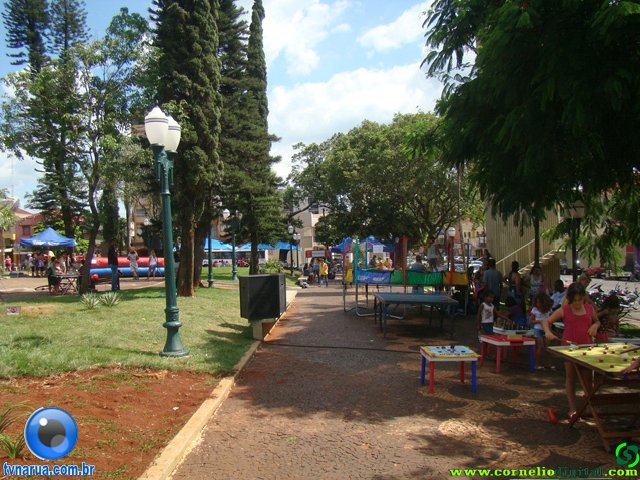 DSC06618.jpg
