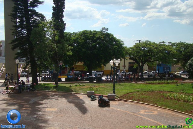 DSC06642.jpg