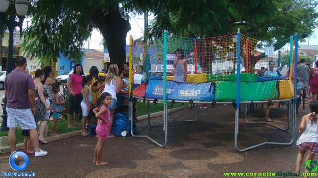 DSC06653.jpg