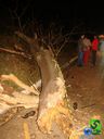 DSC01259.jpg