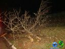 DSC01261.jpg