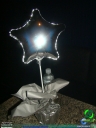 DSC08462.jpg