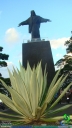 DSC00829.jpg