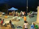 DSC00413.jpg