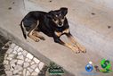 DSC05817.jpg