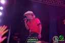 DSC03031.jpg